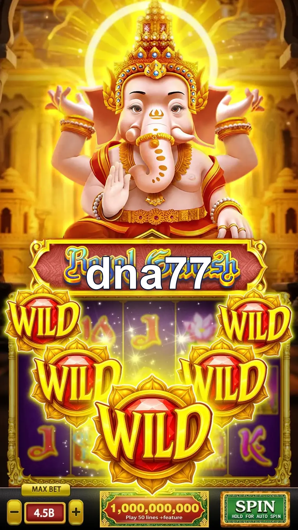 dna77 Masuk
